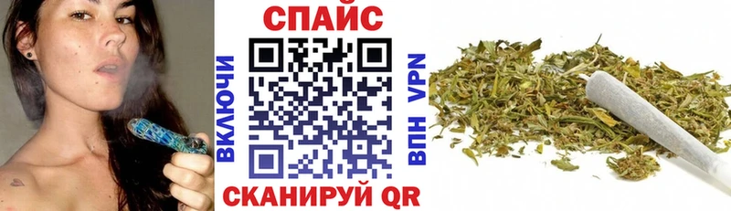 где купить   Железноводск  Бутират BDO 