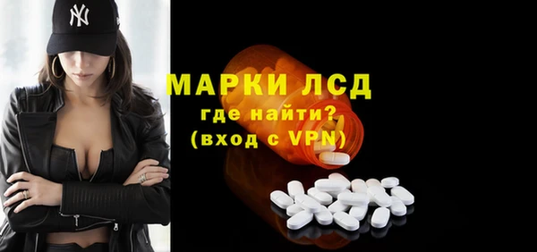 гидра Покачи