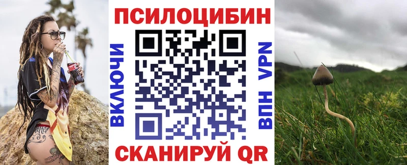где купить наркотик  Железноводск  Псилоцибиновые грибы мицелий 